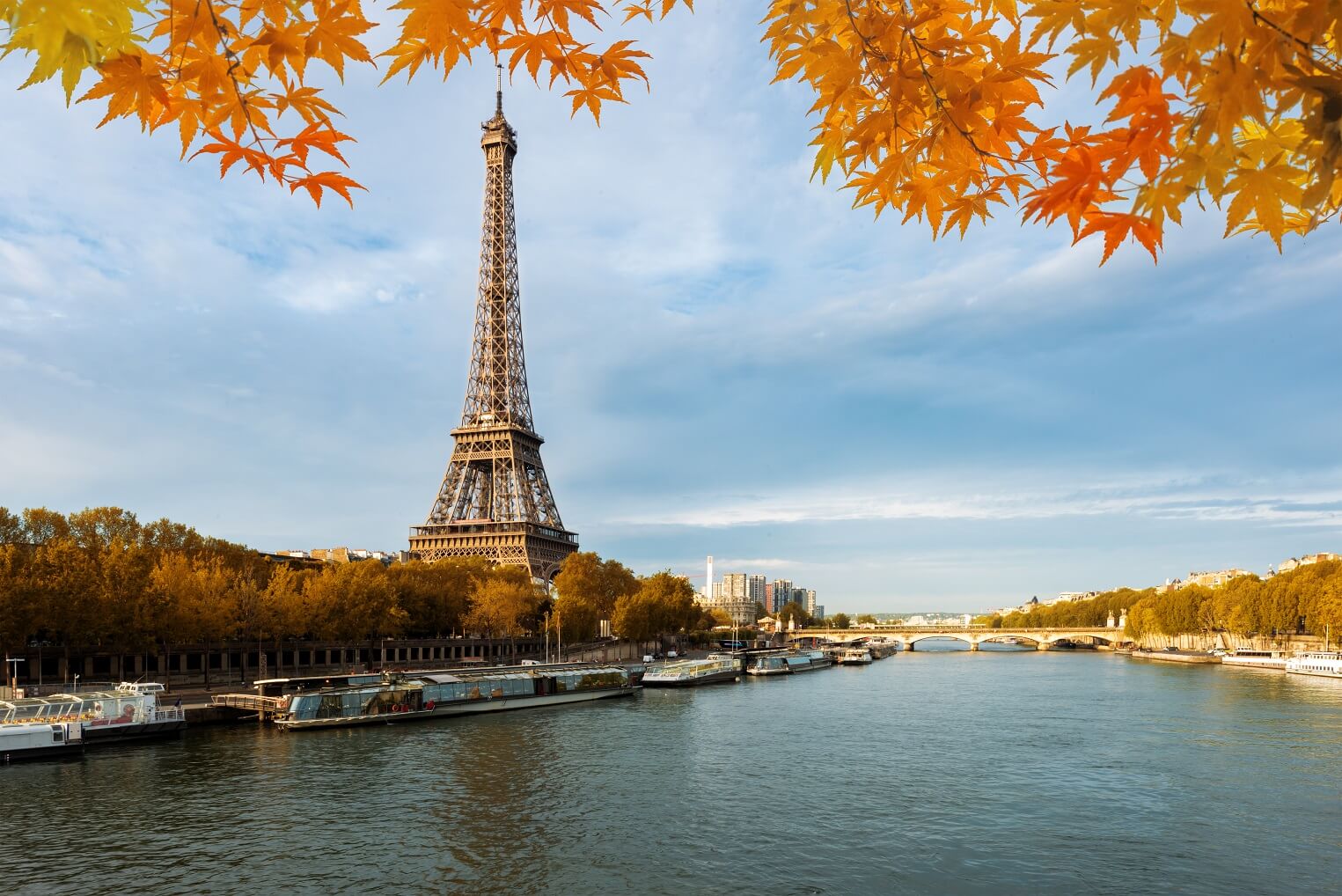 IELTS Europe